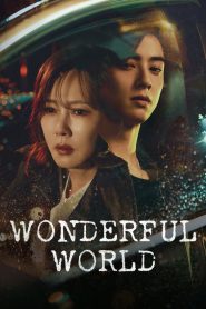 Wonderful World