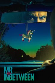 Mr Inbetween: Season 2