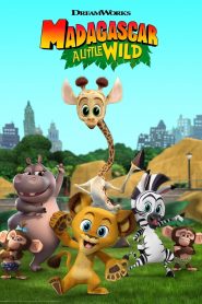 Madagascar: A Little Wild: Season 6
