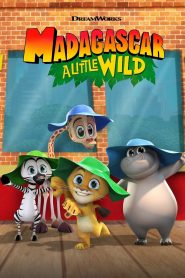 Madagascar: A Little Wild: Season 3