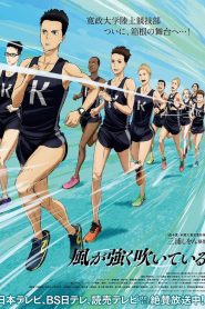Run with the Wind: Season 1