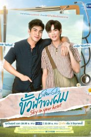 Star and Sky: Star in My Mind: Season 2