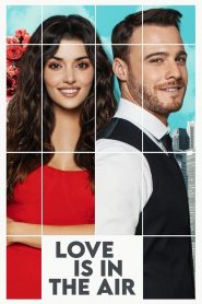 Love Is in the Air: Season 1