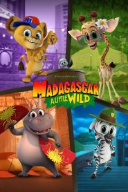 Madagascar: A Little Wild: Season 4