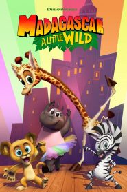 Madagascar: A Little Wild: Season 1