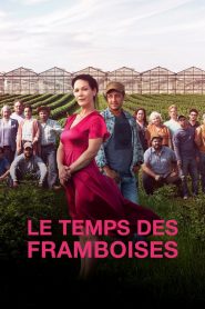 Le temps des framboises: Season 2