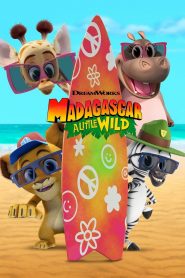 Madagascar: A Little Wild: Season 8
