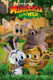 Madagascar: A Little Wild: Season 5