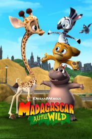 Madagascar: A Little Wild: Season 7