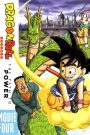 Dragon Ball: The Path to Power