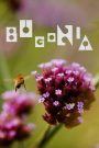Bugonia