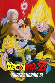 Dragon Ball Z: Super Android 13!