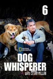 Dog Whisperer: Season 6