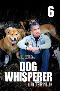 Dog Whisperer: Season 6