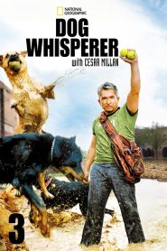 Dog Whisperer: Season 3