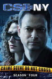CSI: NY: Season 4