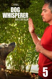 Dog Whisperer: Season 5