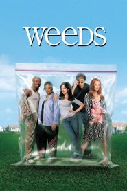 Weeds: Season 1