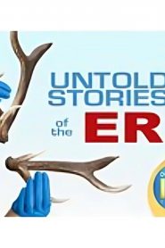 Untold Stories of the ER: Season 11