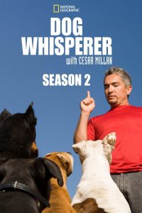 Dog Whisperer: Season 2