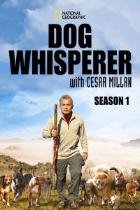 Dog Whisperer: Season 1