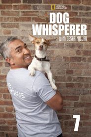 Dog Whisperer: Season 7