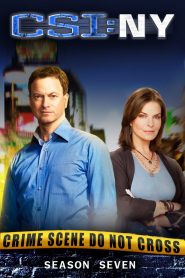 CSI: NY: Season 7