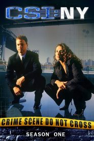 CSI: NY: Season 1