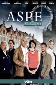 Aspe: Season 6