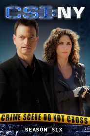 CSI: NY: Season 6
