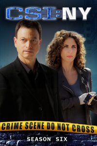 CSI: NY: Season 6