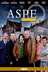 Aspe: Season 4