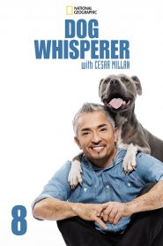 Dog Whisperer: Season 8