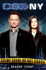 CSI: NY: Season 8
